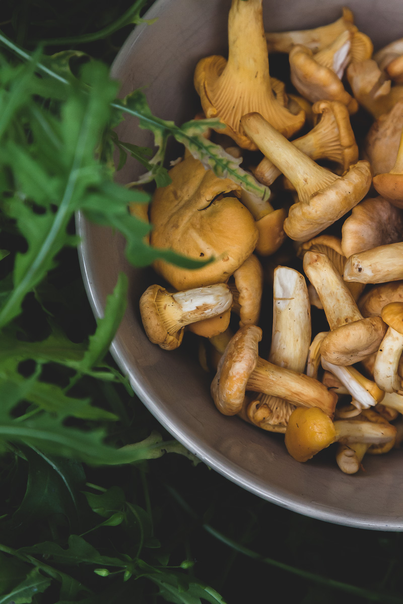 A bowl of freshly picked chanterelles in a pink bowl on top of a gardening box that grows arugula.