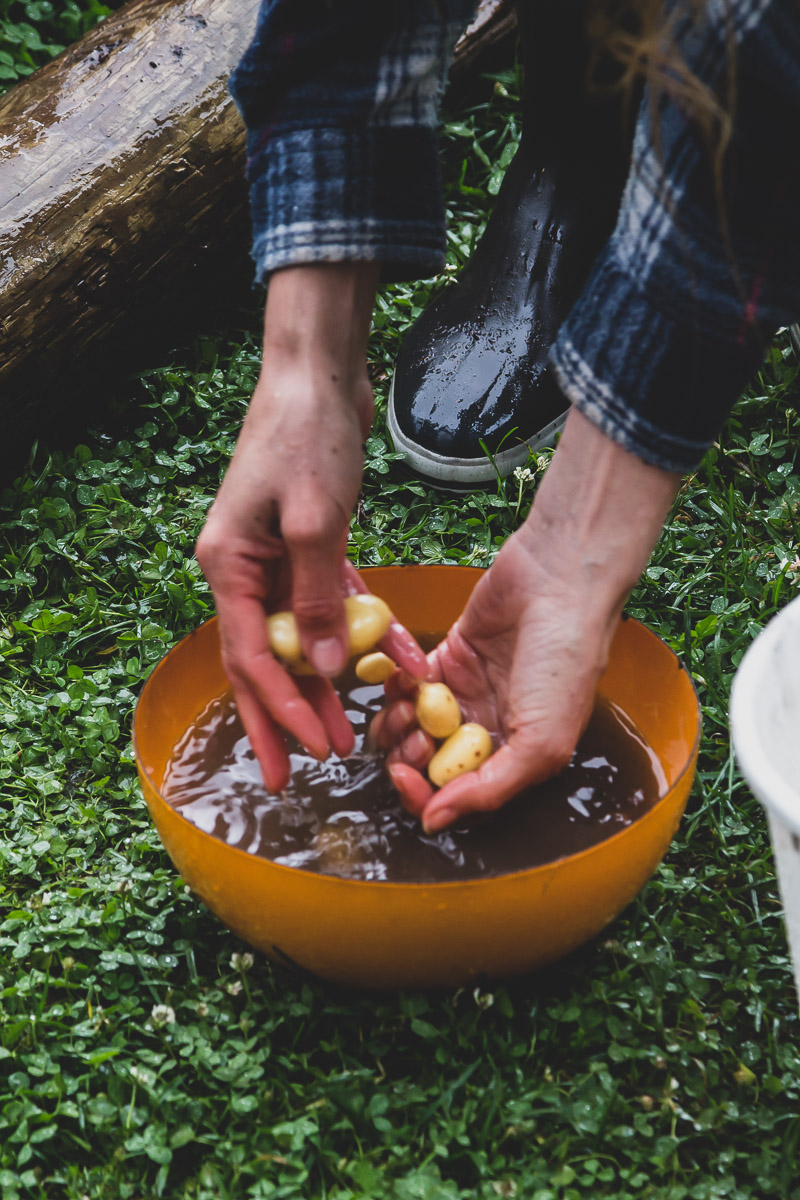 A woman wearing blue flannel shirt is outdoors washing small summer potatoes in an orange bowl.